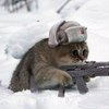Роман Галицкий-Острожский